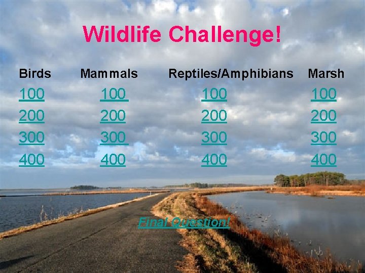 Wildlife Challenge! Birds 100 200 300 400 Mammals 100 200 300 400 Reptiles/Amphibians 100