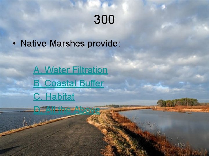 300 • Native Marshes provide: A. Water Filtration B. Coastal Buffer C. Habitat D.