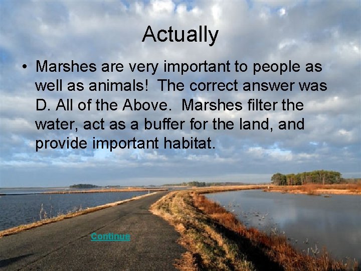 Actually • Marshes are very important to people as well as animals! The correct