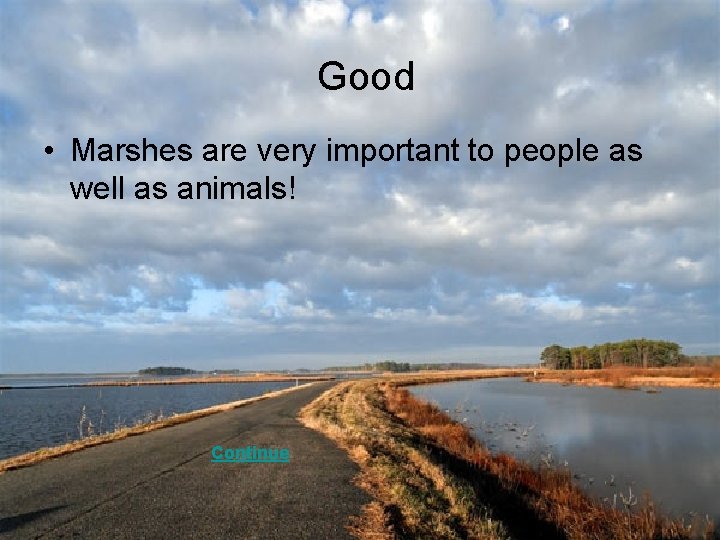 Good • Marshes are very important to people as well as animals! Continue 