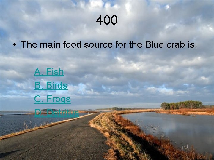 400 • The main food source for the Blue crab is: A. Fish B.