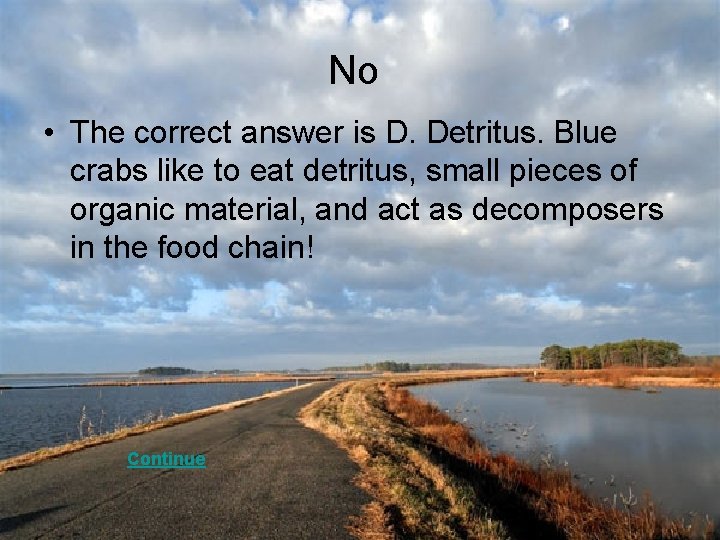 No • The correct answer is D. Detritus. Blue crabs like to eat detritus,