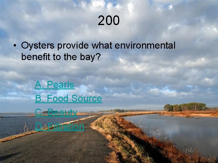 200 • Oysters provide what environmental benefit to the bay? A. Pearls B. Food
