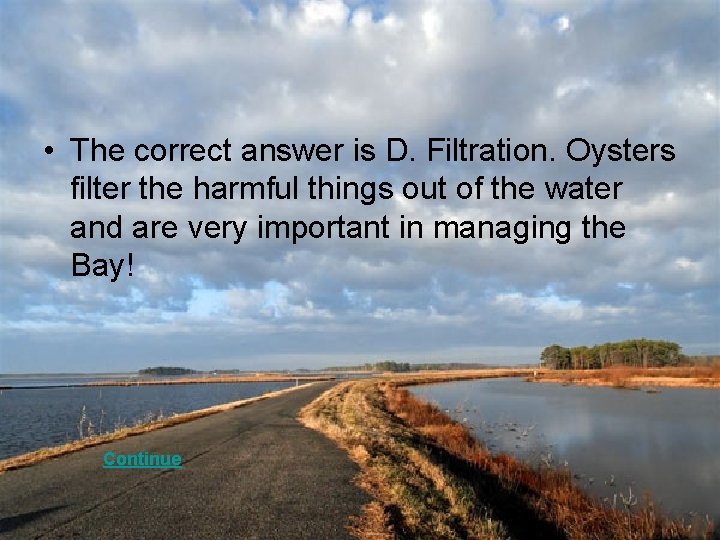  • The correct answer is D. Filtration. Oysters filter the harmful things out