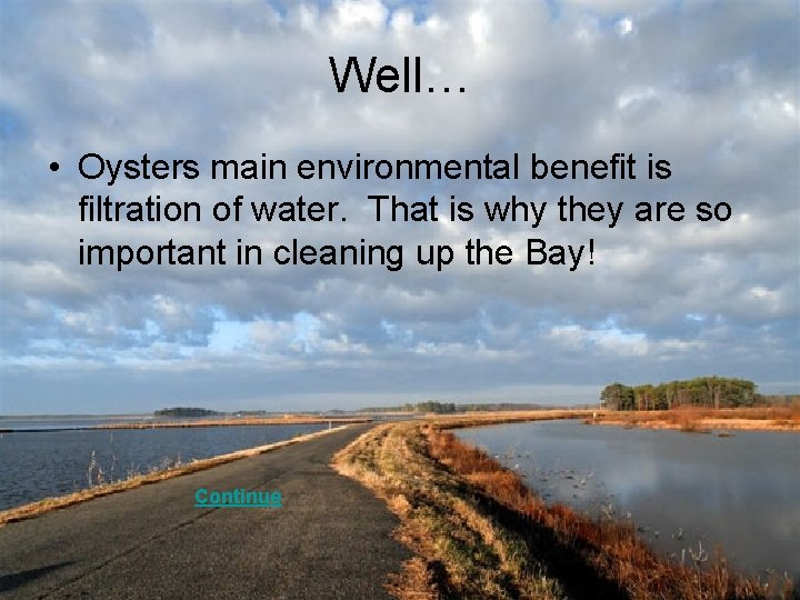 Well… • Oysters main environmental benefit is filtration of water. That is why they
