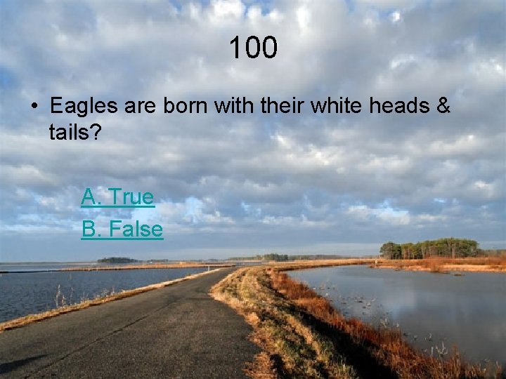 100 • Eagles are born with their white heads & tails? A. True B.