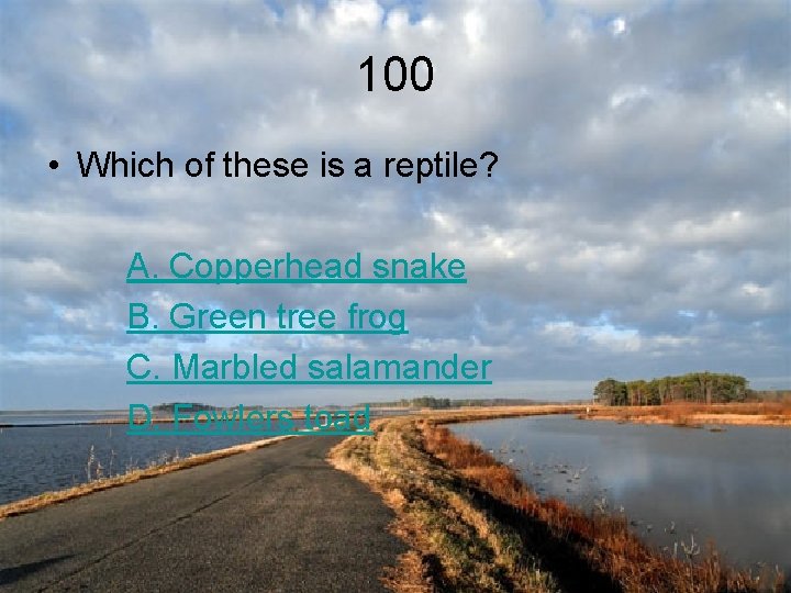 100 • Which of these is a reptile? A. Copperhead snake B. Green tree