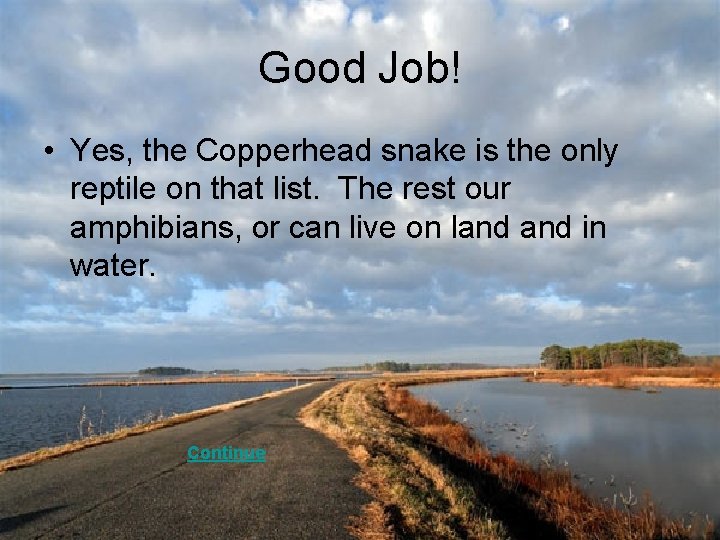 Good Job! • Yes, the Copperhead snake is the only reptile on that list.