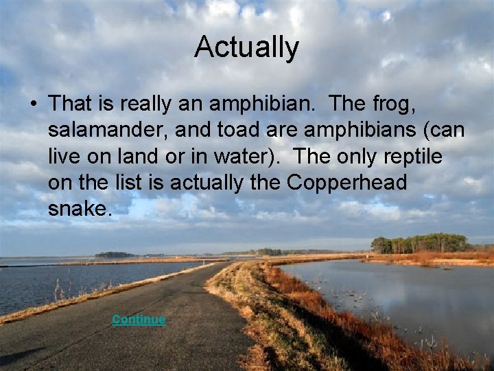 Actually • That is really an amphibian. The frog, salamander, and toad are amphibians