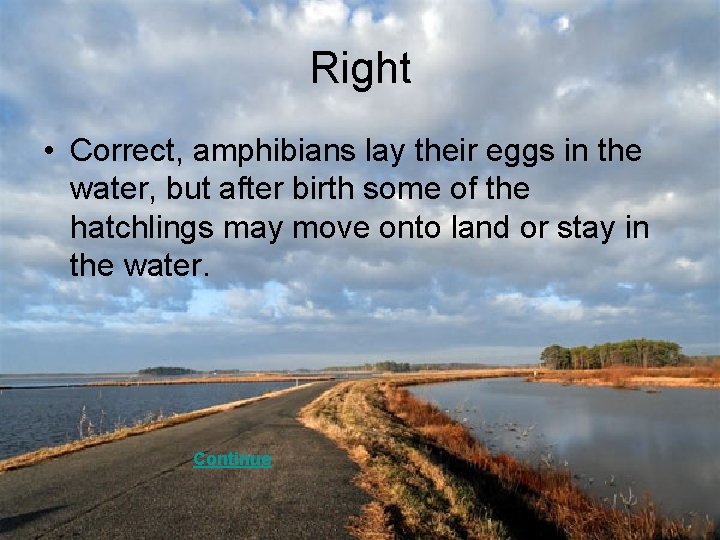Right • Correct, amphibians lay their eggs in the water, but after birth some