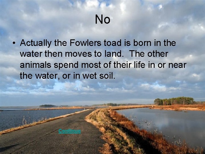 No • Actually the Fowlers toad is born in the water then moves to