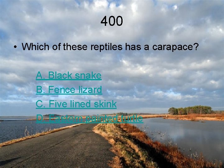 400 • Which of these reptiles has a carapace? A. Black snake B. Fence