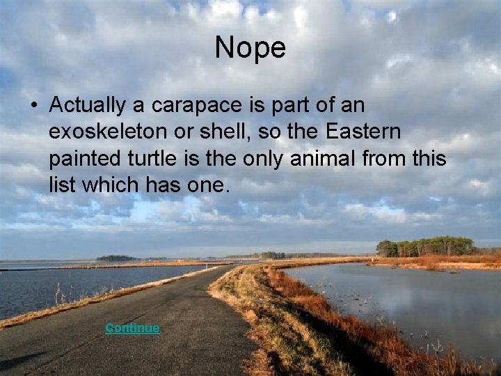 Nope • Actually a carapace is part of an exoskeleton or shell, so the