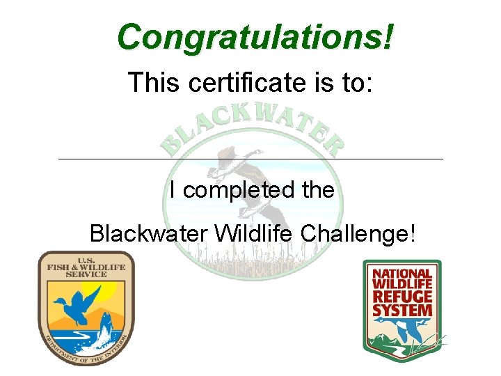 Congratulations! This certificate is to: I completed the Blackwater Wildlife Challenge! 