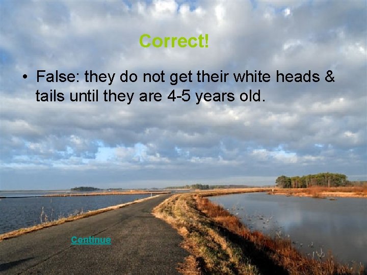 Correct! • False: they do not get their white heads & tails until they