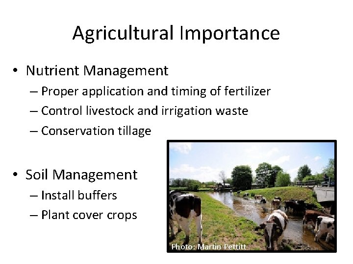 Agricultural Importance • Nutrient Management – Proper application and timing of fertilizer – Control