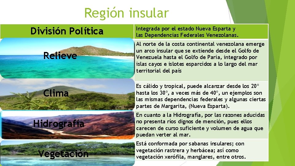 Región insular División Política Relieve Clima Hidrografía Vegetación Integrada por el estado Nueva Esparta