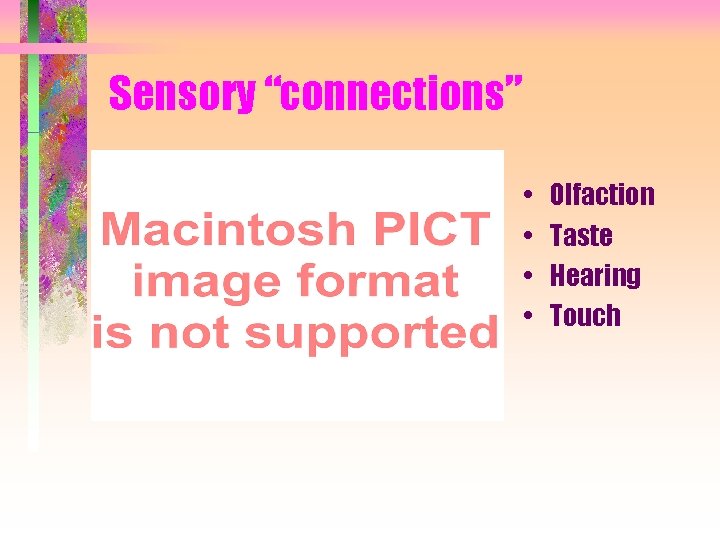 besides vision Sensory connections Olfaction Taste Hearing Touch