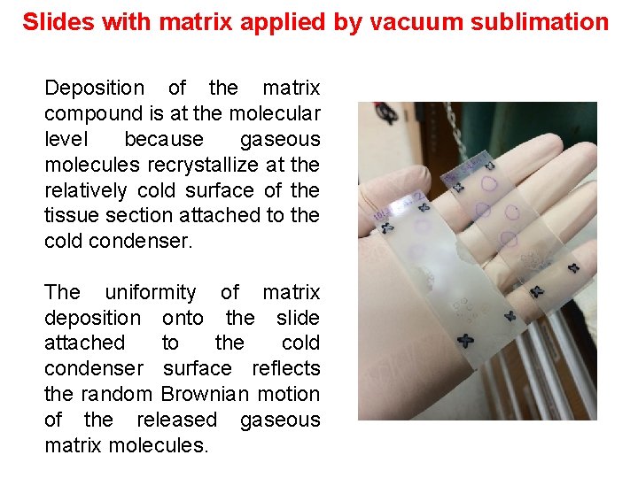 Slides with matrix applied by vacuum sublimation Deposition of the matrix compound is at