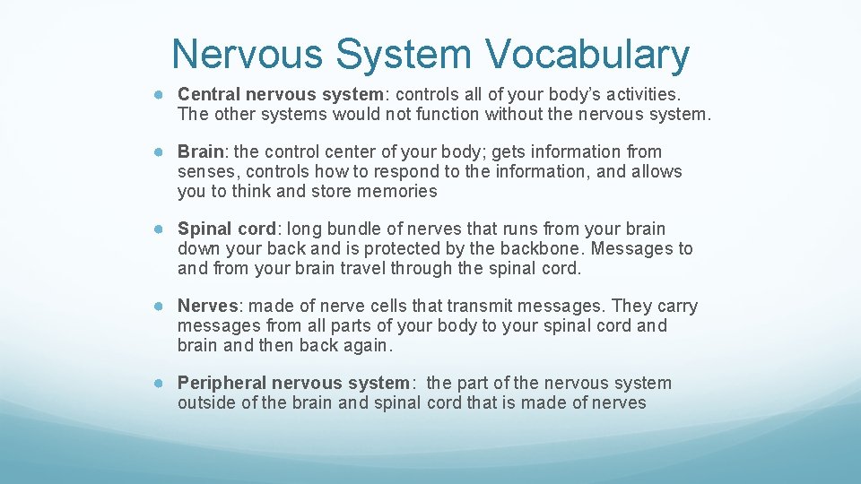 Nervous System Vocabulary ● Central nervous system: controls all of your body’s activities. The