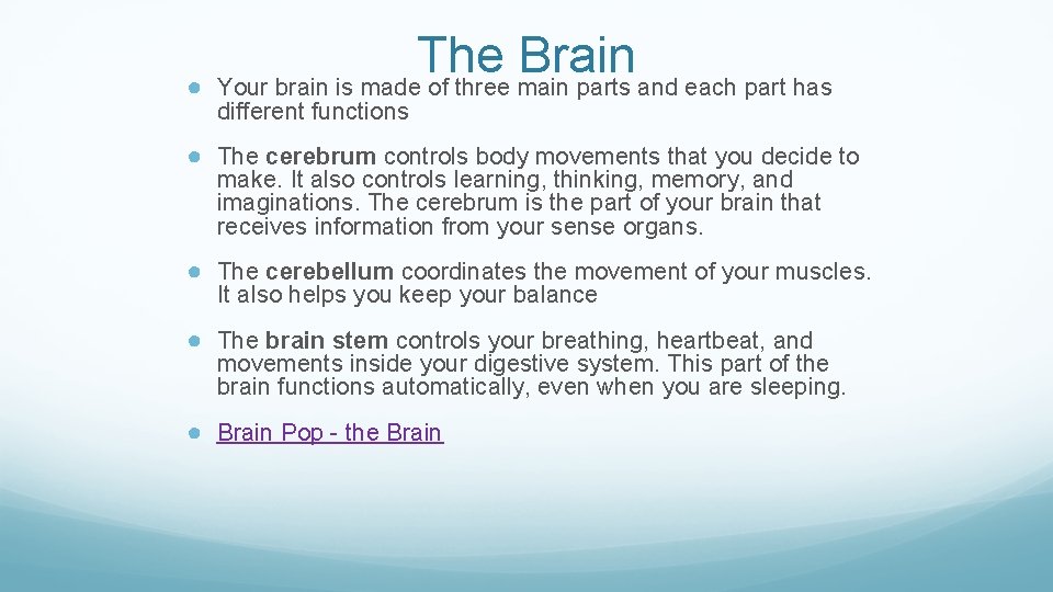 The Brain ● Your brain is made of three main parts and each part