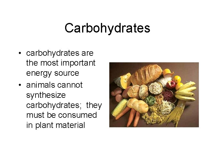 Carbohydrates • carbohydrates are the most important energy source • animals cannot synthesize carbohydrates;