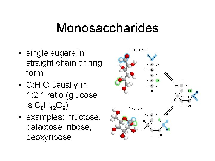 Monosaccharides • single sugars in straight chain or ring form • C: H: O