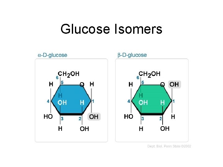 Glucose Isomers 