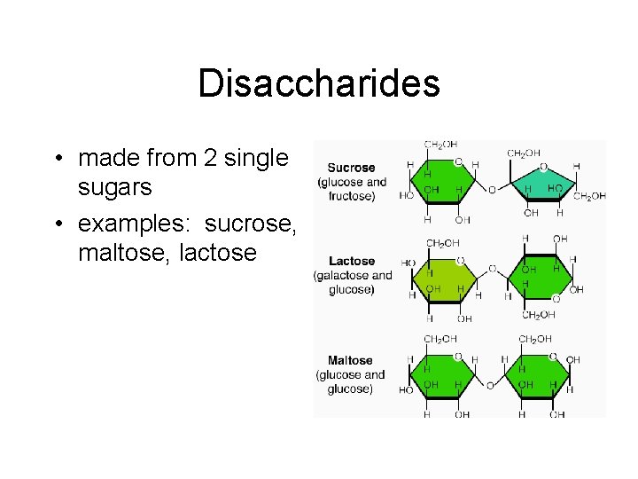 Disaccharides • made from 2 single sugars • examples: sucrose, maltose, lactose 
