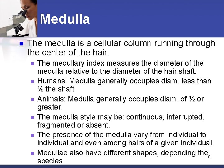 Medulla n The medulla is a cellular column running through the center of the