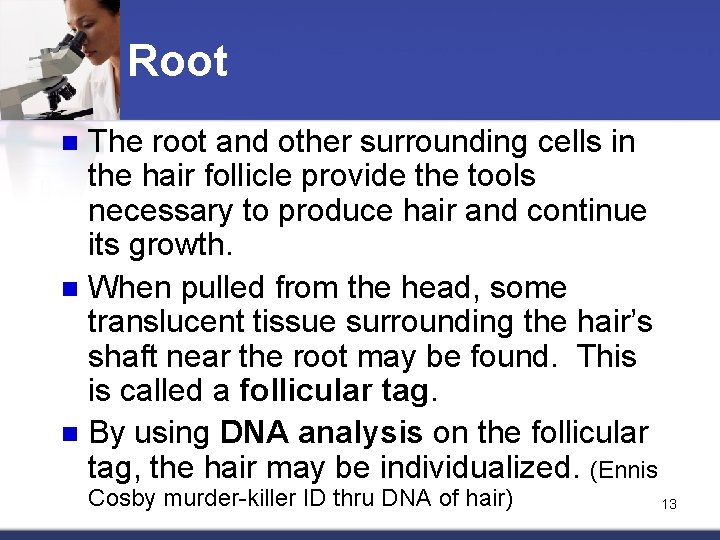 Root The root and other surrounding cells in the hair follicle provide the tools