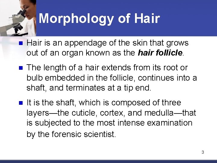 Morphology of Hair n Hair is an appendage of the skin that grows out