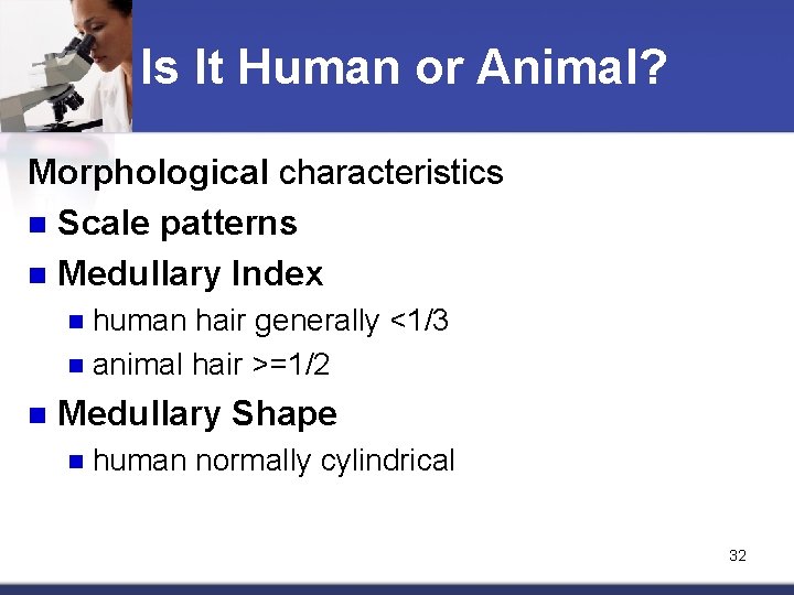 Is It Human or Animal? Morphological characteristics n Scale patterns n Medullary Index human