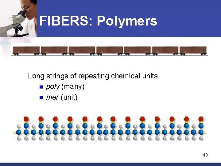 FIBERS: Polymers Long strings of repeating chemical units n poly (many) n mer (unit)