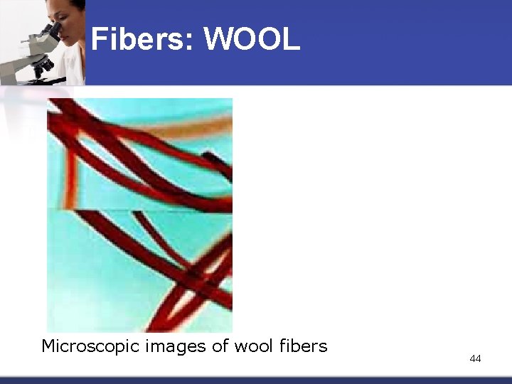 Fibers: WOOL Microscopic images of wool fibers 44 