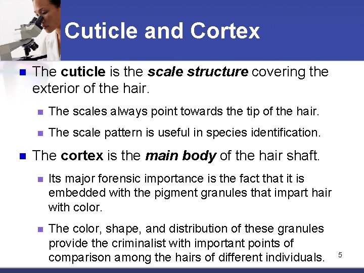 Cuticle and Cortex n n The cuticle is the scale structure covering the exterior