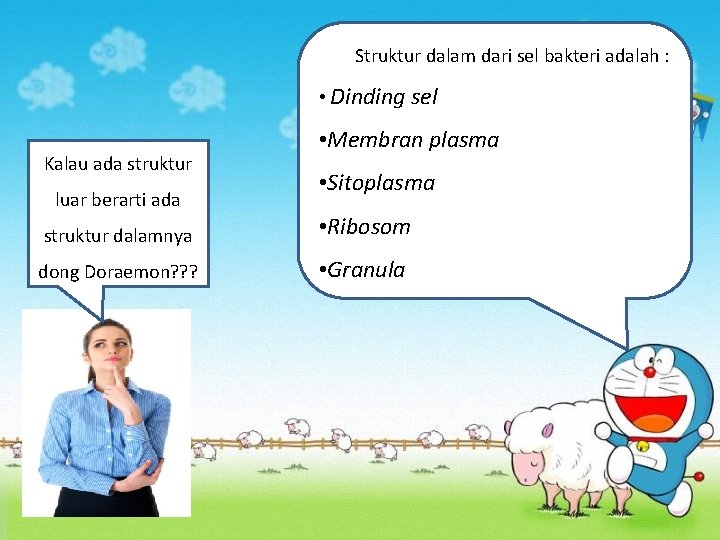 Struktur dalam dari sel bakteri adalah : • Dinding sel Kalau ada struktur luar