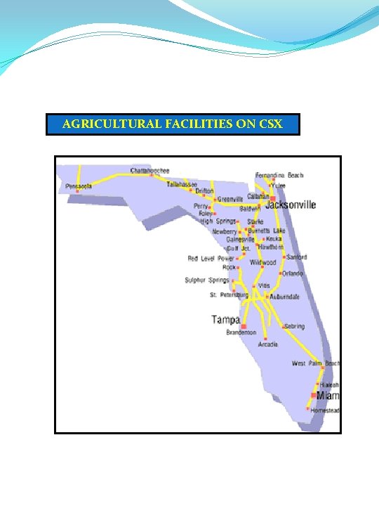 AGRICULTURAL FACILITIES ON CSX 