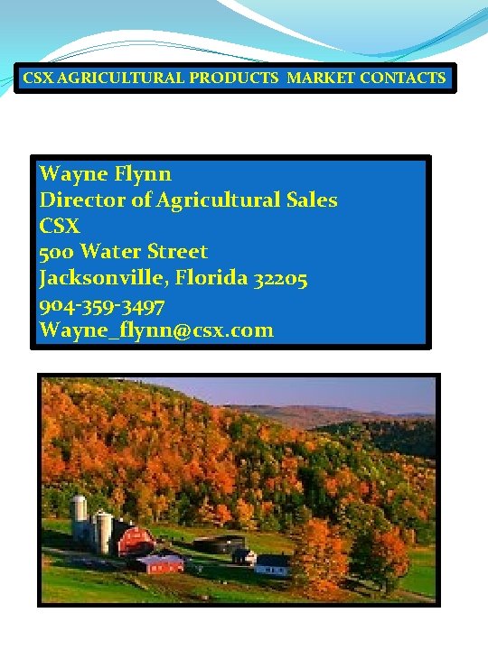 CSX AGRICULTURAL PRODUCTS MARKET CONTACTS Wayne Flynn Director of Agricultural Sales CSX 500 Water