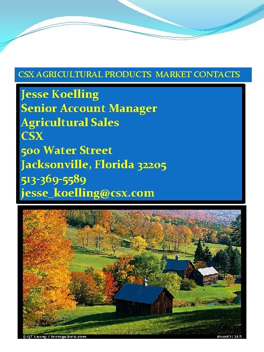 CSX AGRICULTURAL PRODUCTS MARKET CONTACTS Jesse Koelling Senior Account Manager Agricultural Sales CSX 500