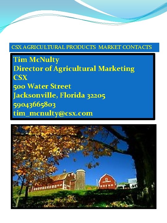 CSX AGRICULTURAL PRODUCTS MARKET CONTACTS Tim Mc. Nulty Director of Agricultural Marketing CSX 500