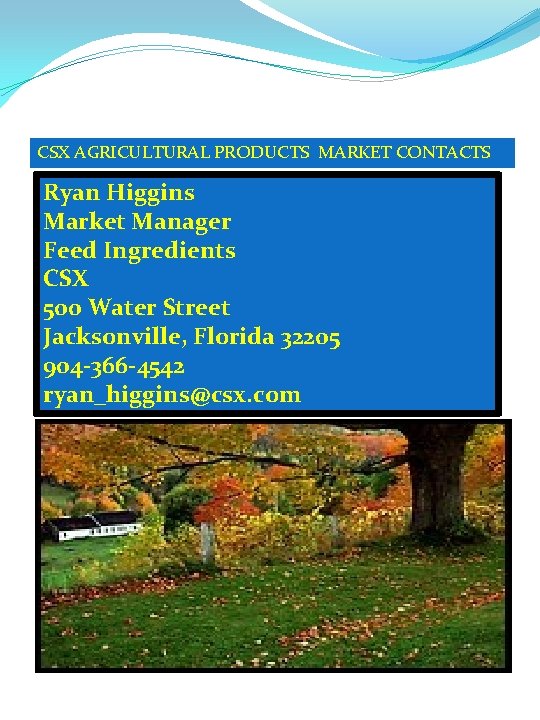 CSX AGRICULTURAL PRODUCTS MARKET CONTACTS Ryan Higgins Market Manager Feed Ingredients CSX 500 Water