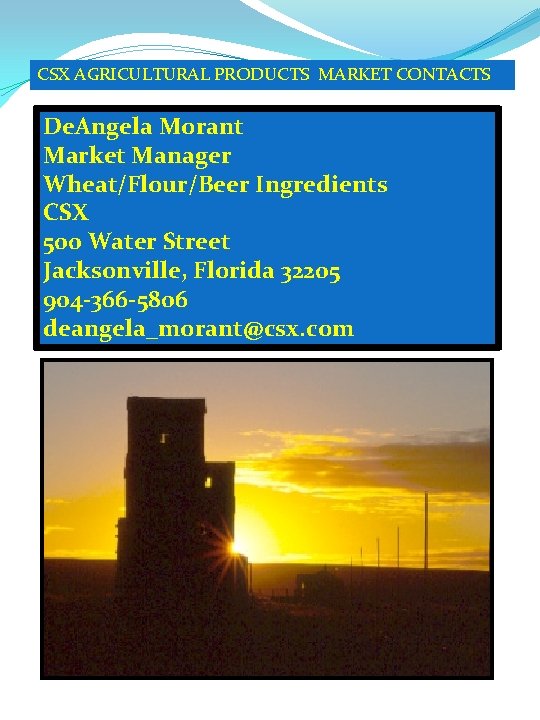 CSX AGRICULTURAL PRODUCTS MARKET CONTACTS De. Angela Morant Market Manager Wheat/Flour/Beer Ingredients CSX 500