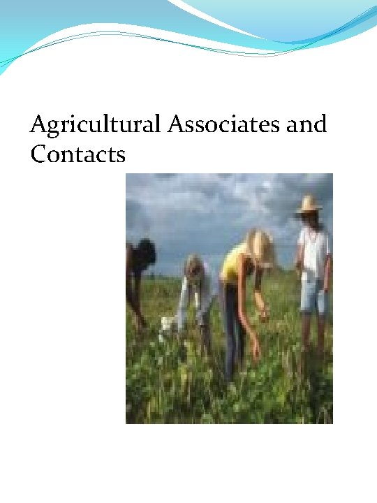 Agricultural Associates and Contacts 