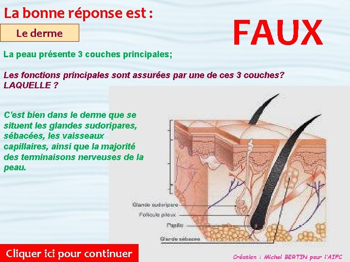 La bonne réponse est : Le derme La peau présente 3 couches principales; FAUX