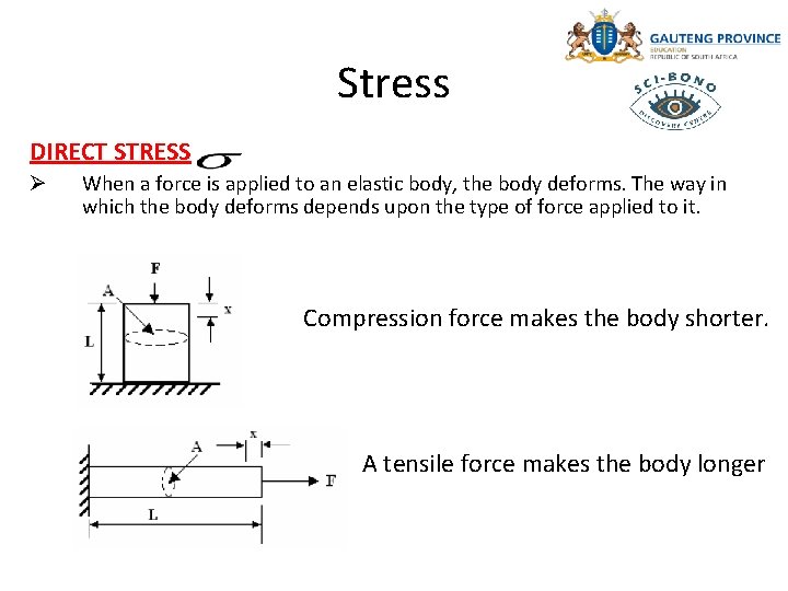 Stress DIRECT STRESS Ø When a force is applied to an elastic body, the