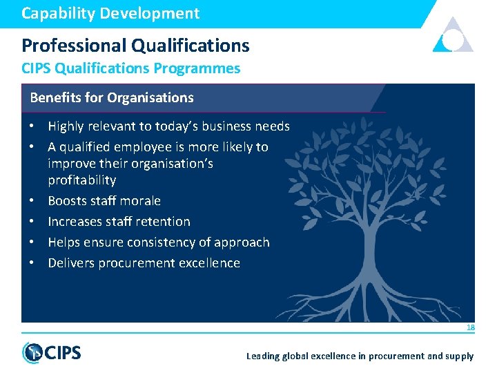 Capability Development Professional Qualifications CIPS Qualifications Programmes Benefits for Organisations • Highly relevant to