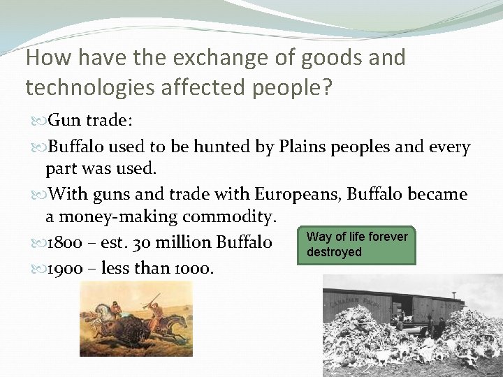 How have the exchange of goods and technologies affected people? Gun trade: Buffalo used