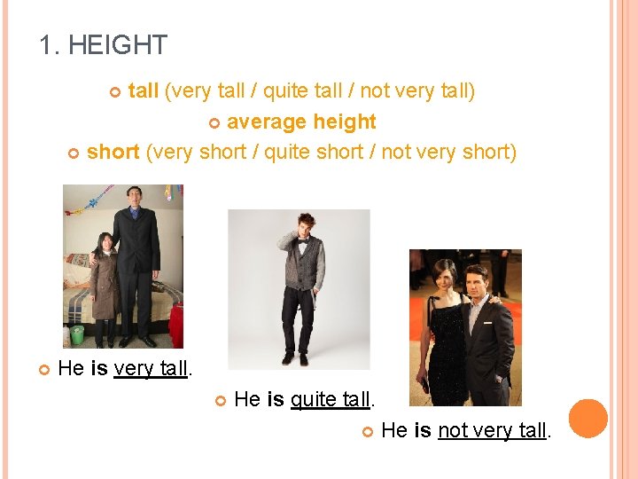 1. HEIGHT tall (very tall / quite tall / not very tall) average height