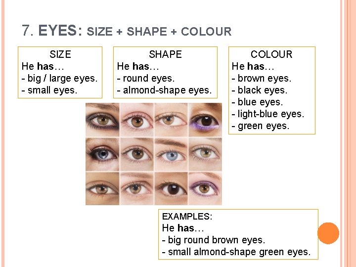 7. EYES: SIZE + SHAPE + COLOUR SIZE He has… - big / large